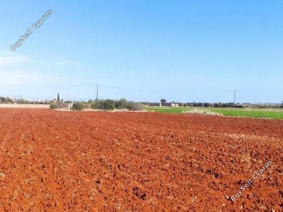 land for sale avgorou famagusta 8630404 image 15873095