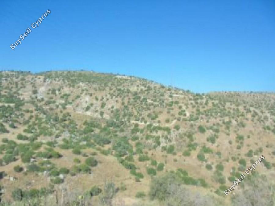 17392 SQM Land for sale in Nata, Paphos 15873568