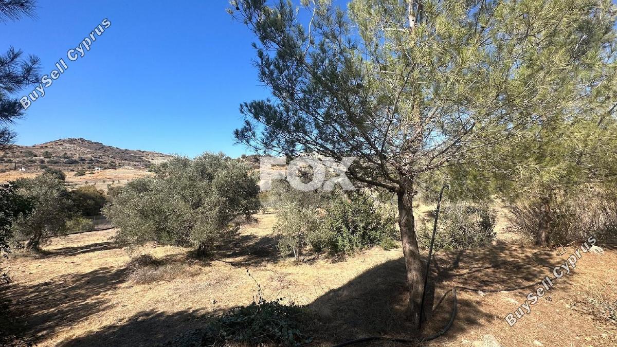 5 bedroom detached house for sale moni limassol 1580504 image 5643259