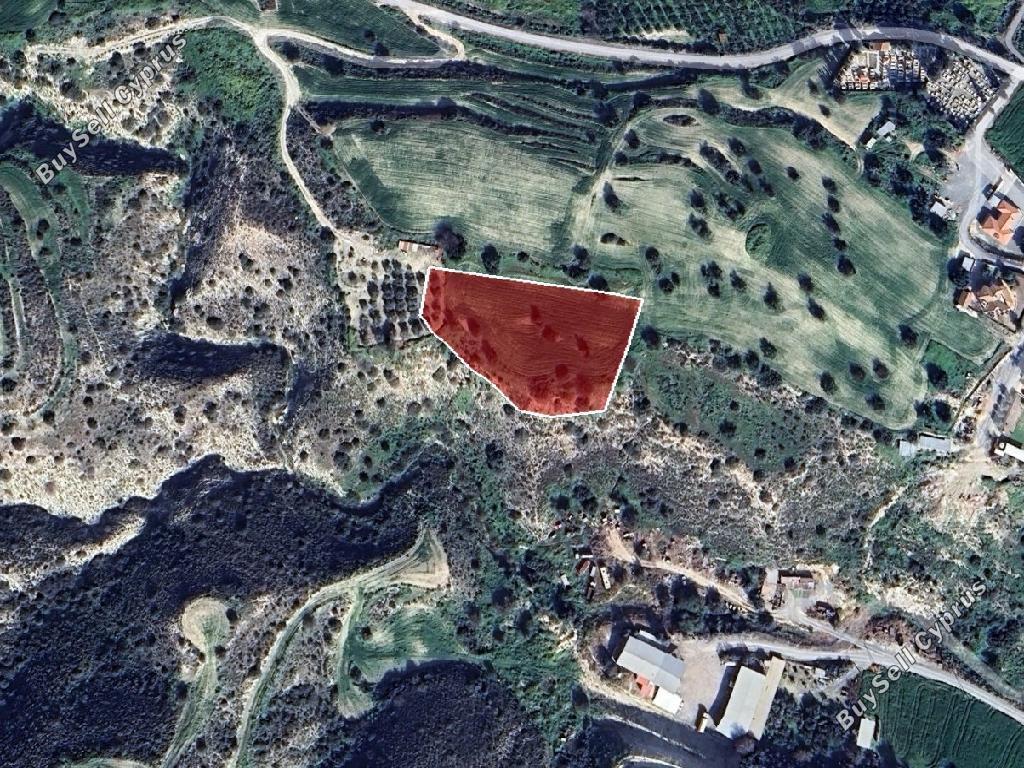 land for sale agios theodoros larnacas larnaca 7745504 image 10255188