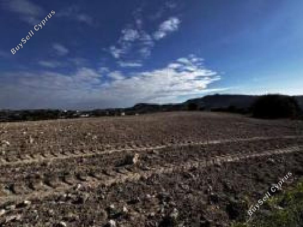 land for sale agios theodoros larnacas larnaca 7745504 image 10255192