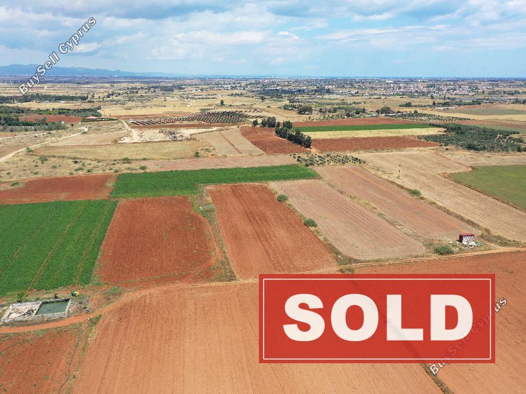 land sold avgorou famagusta 1835504 image 6510140