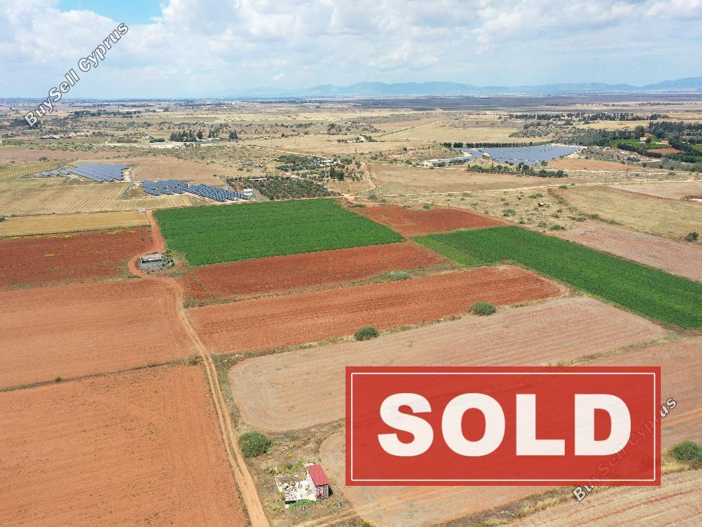 land sold avgorou famagusta 1835504 image 6510143
