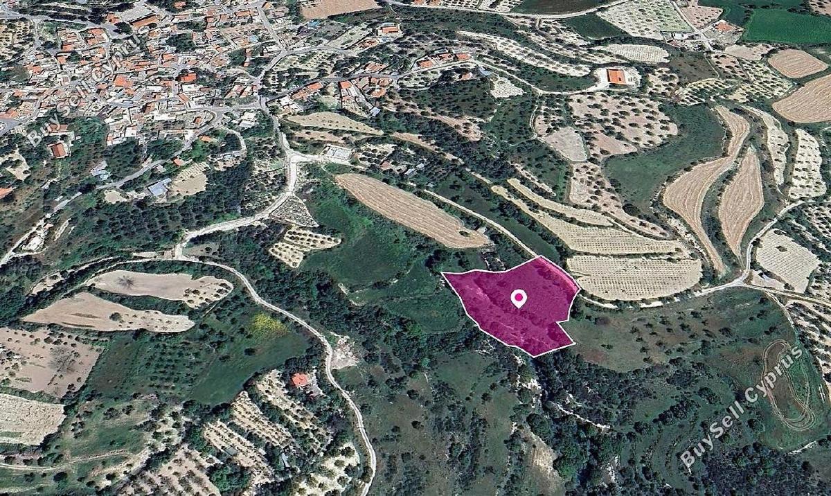 land for sale kallepeia paphos 8237604 image 14231197