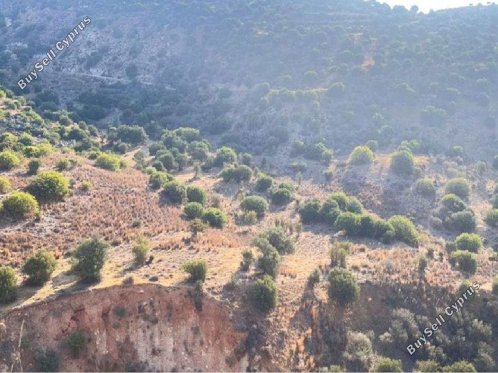 land for sale nata paphos 933604 image 15599399