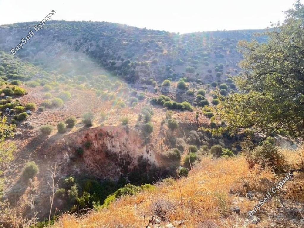 land for sale nata paphos 933604 image 15599400