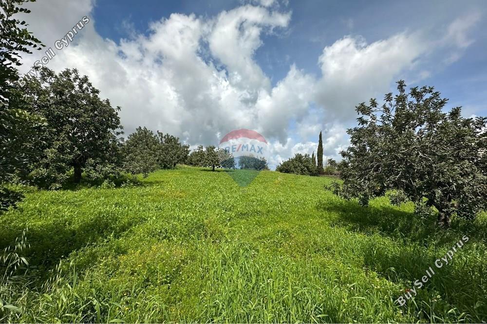 land for sale pano akourdalia paphos 8447604 image 15069069