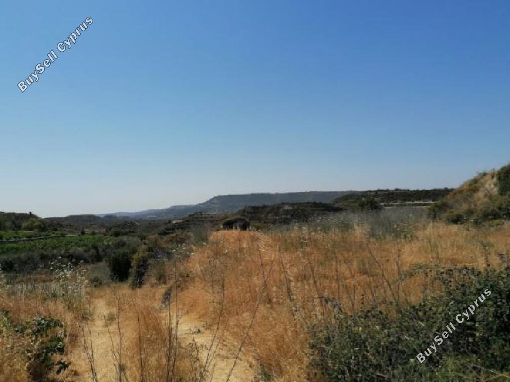 6689 SQM Land for sale in Pachna, Limassol 15603498
