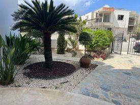 6 bedroom detached house for sale kato paphos universal paphos 1355704 image 5641467