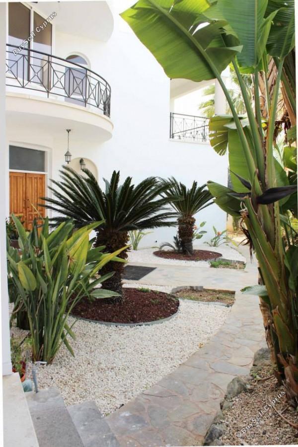 6 bedroom detached house for sale kato paphos universal paphos 1355704 image 5641470