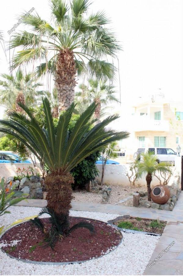6 bedroom detached house for sale kato paphos universal paphos 1355704 image 5641473