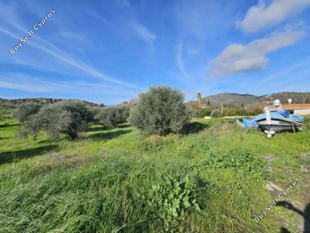 land for sale kornos larnaca 8726704 image 16333466