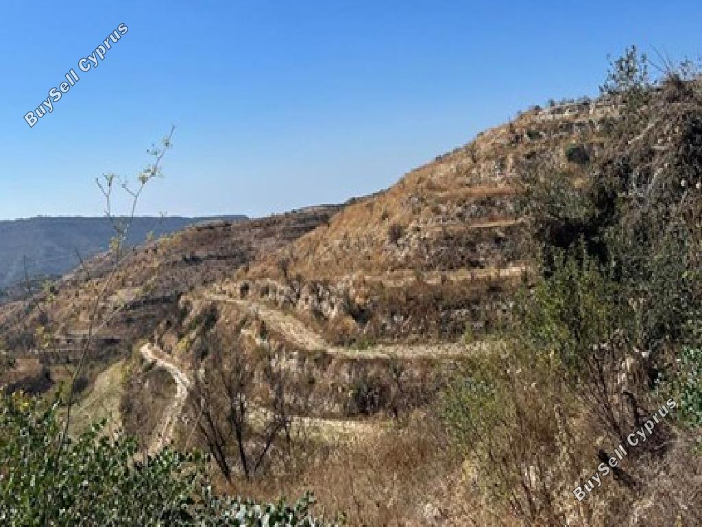 land for sale pachna limassol 954704 image 17103089