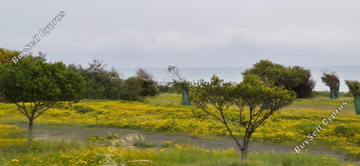 plot for sale dekeleia larnaca 8387704 image 16300530
