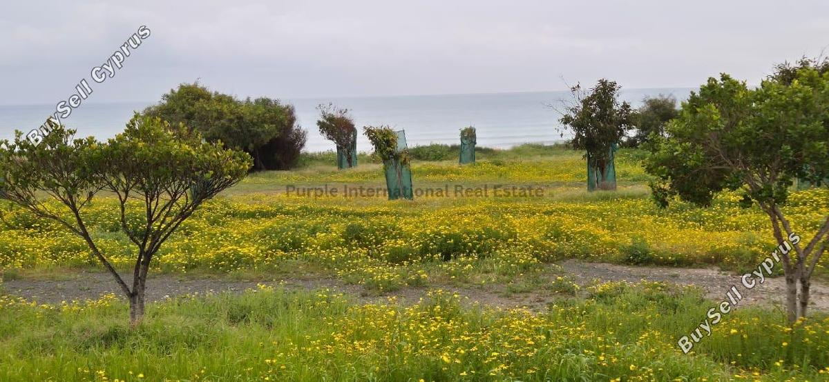plot for sale dekeleia larnaca 8387704 image 16300531