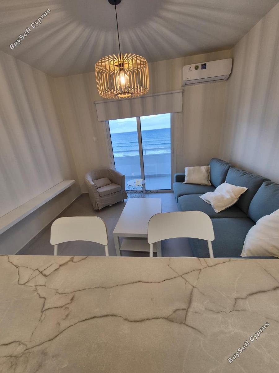 1 bedroom apartment for rent mackenzie larnaca 8168804 image 17705214