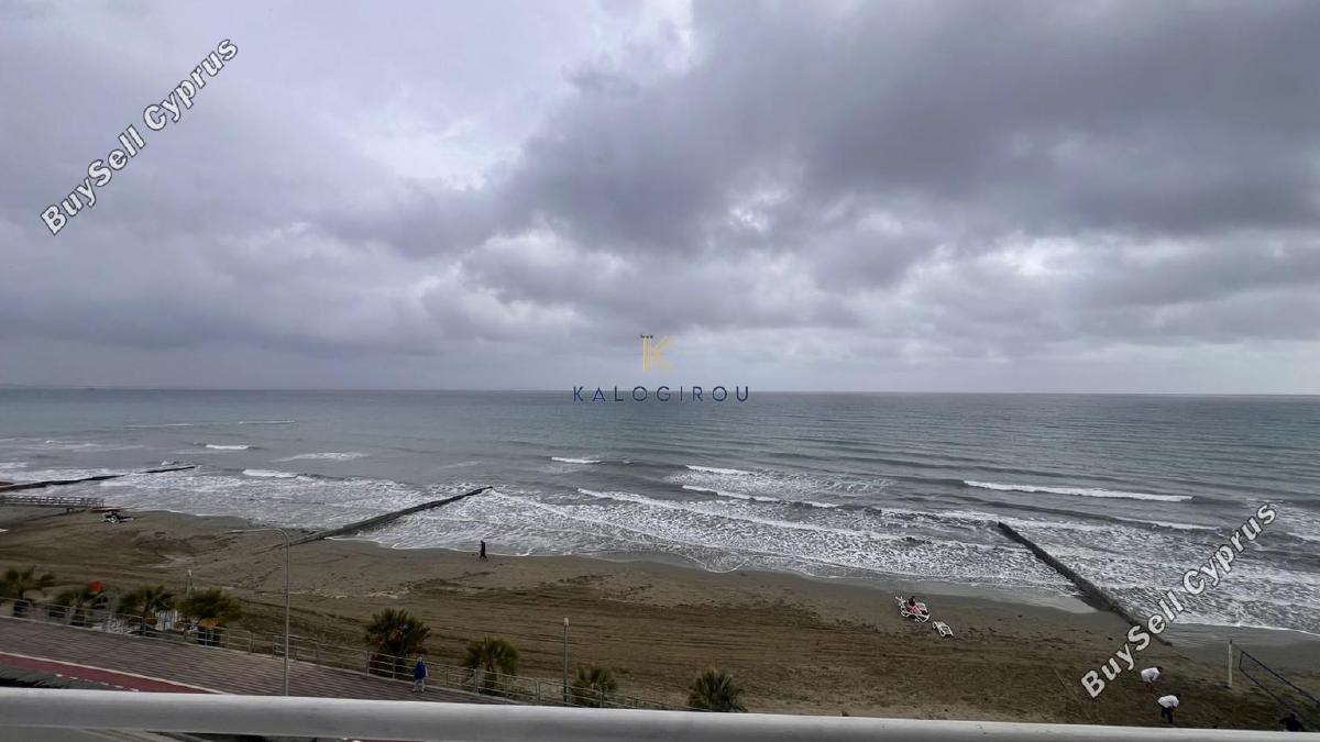 1 bedroom apartment for rent mackenzie larnaca 8168804 image 17705219