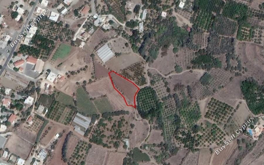 land for sale agia marina chrysochous paphos 8630804 image 15874141