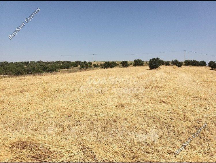 land for sale alampra nicosia 1150804 image 5122749