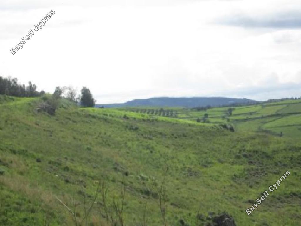 land for sale drynia paphos 1810804 image 16009175