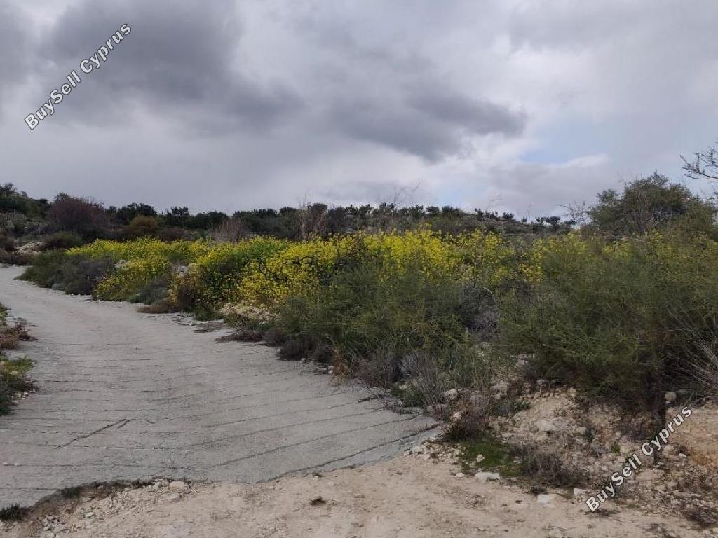 land for sale pachna limassol 1032804 image 15602014