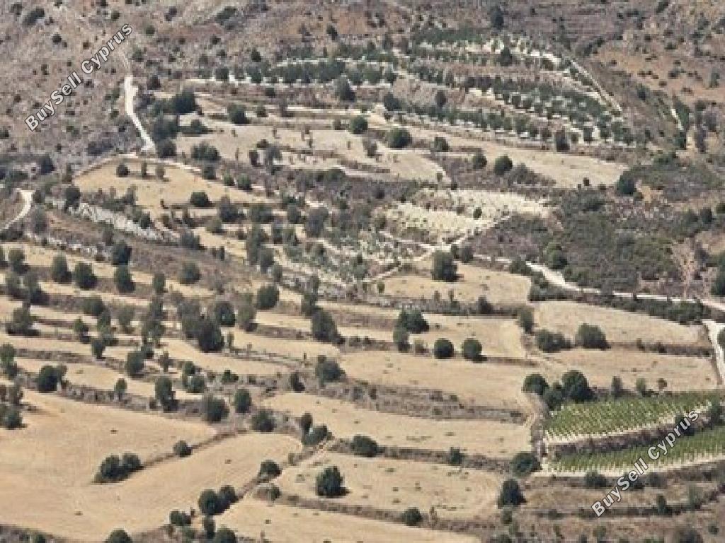 land for sale pachna limassol 1032804 image 17158591