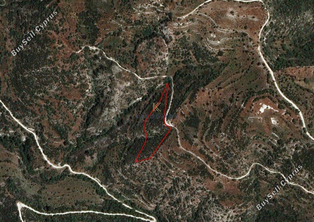 plot for sale dora limassol 1194804 image 5570768