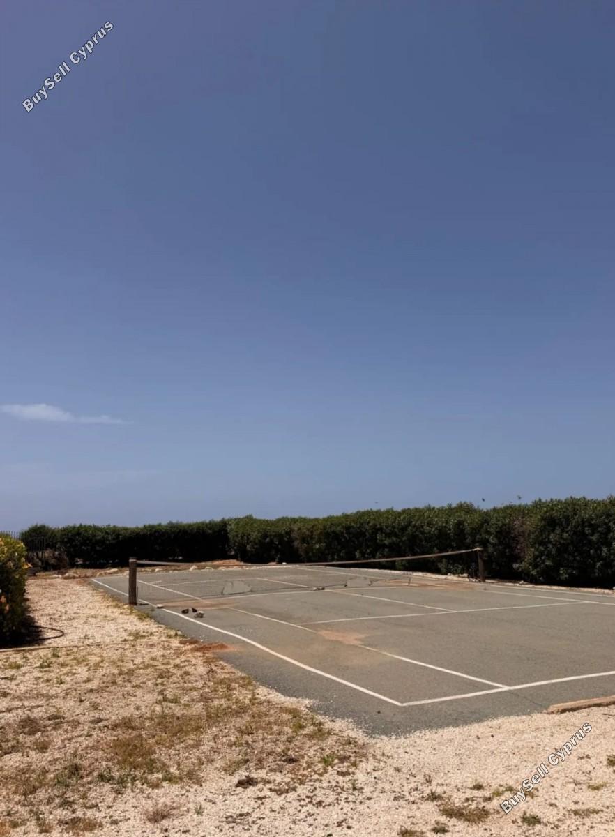 4 bedroom detached house for rent coral bay paphos 8833904 image 17013037