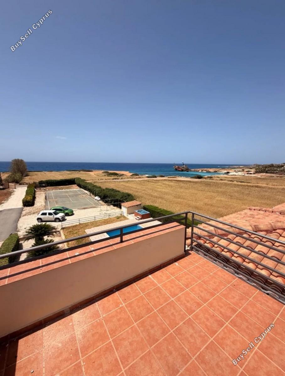 4 bedroom detached house for rent coral bay paphos 8833904 image 17013038