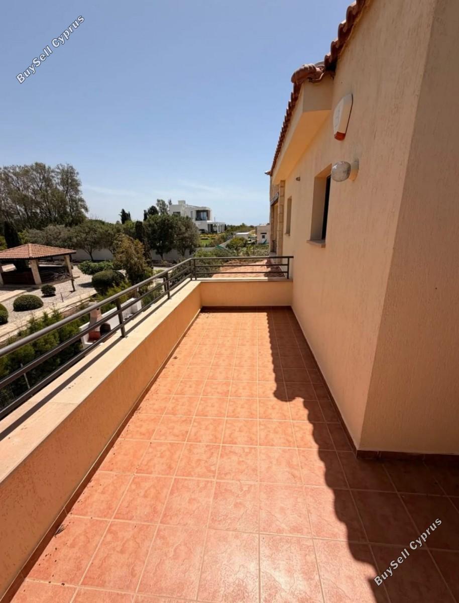 4 bedroom detached house for rent coral bay paphos 8833904 image 17013040