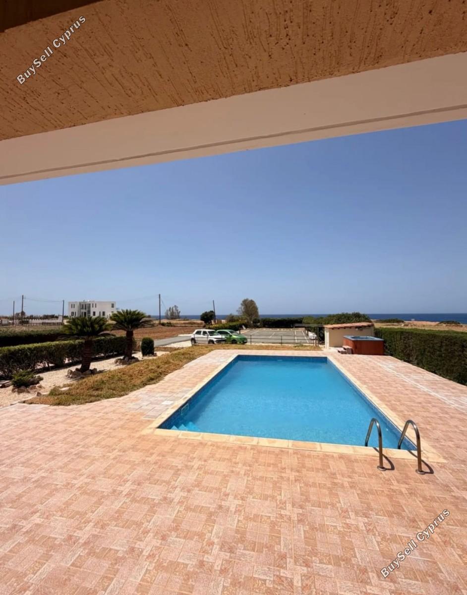4 bedroom detached house for rent coral bay paphos 8833904 image 17013053