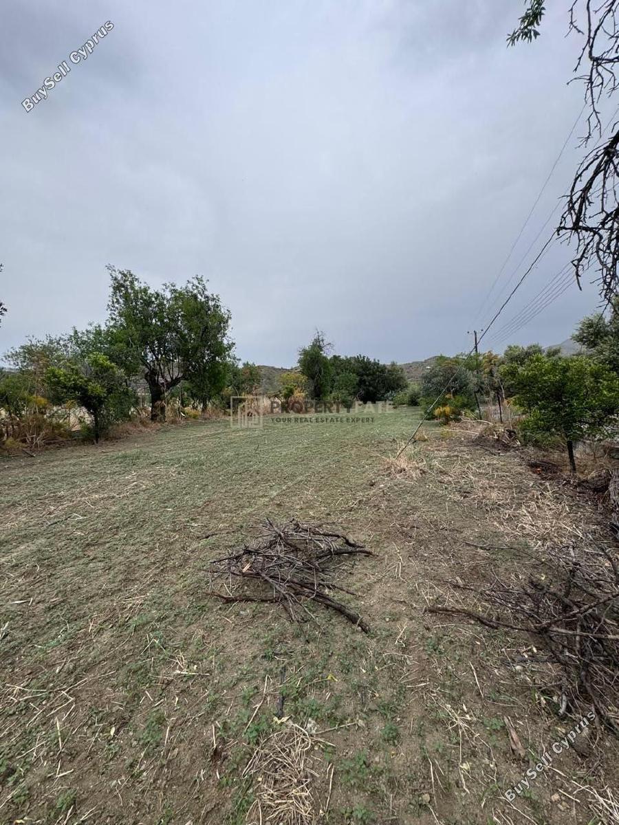 land for sale ora larnaca 1924904 image 17566260