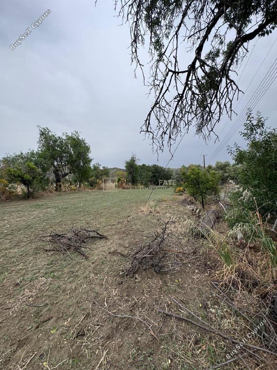 land for sale ora larnaca 1924904 image 17566261