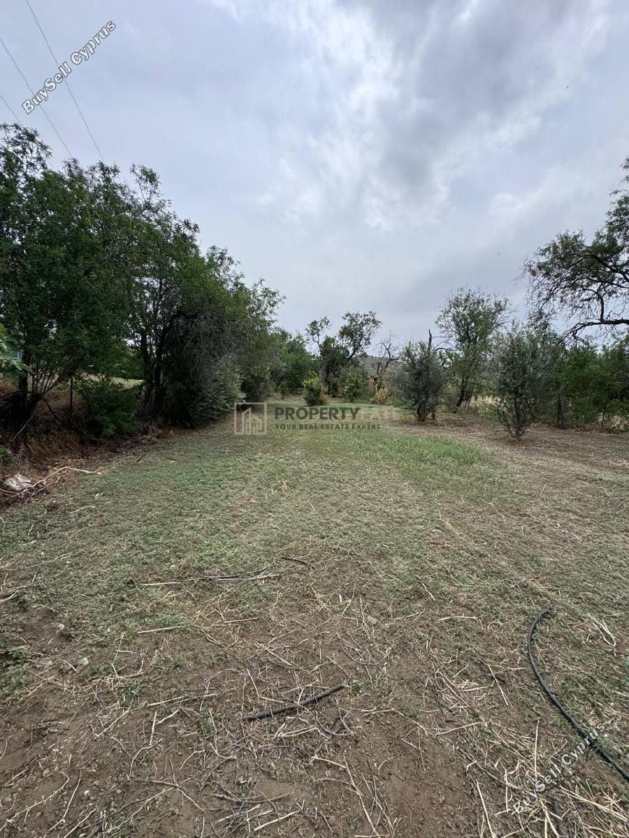 land for sale ora larnaca 1924904 image 17566263