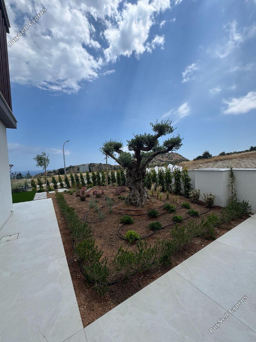 3 bedroom detached house for rent agios tychonas limassol 8699014 image 16934450