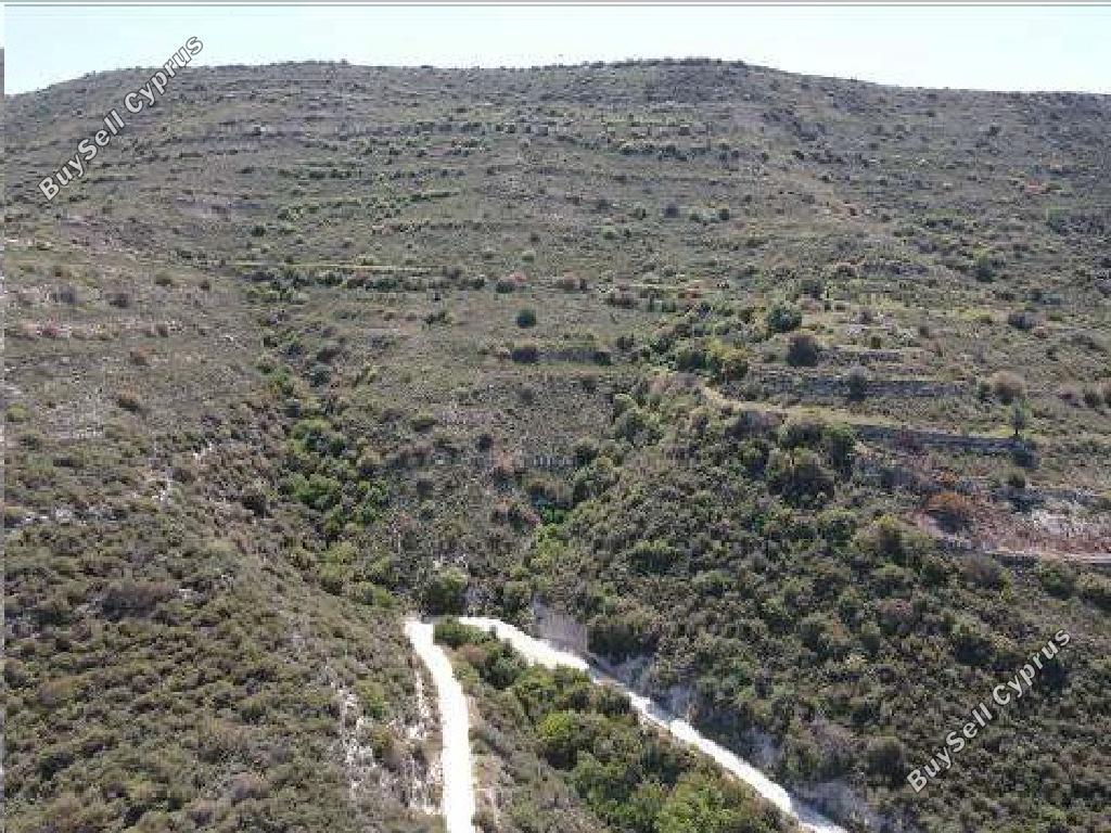 land for sale dora limassol 7806014 image 15596545