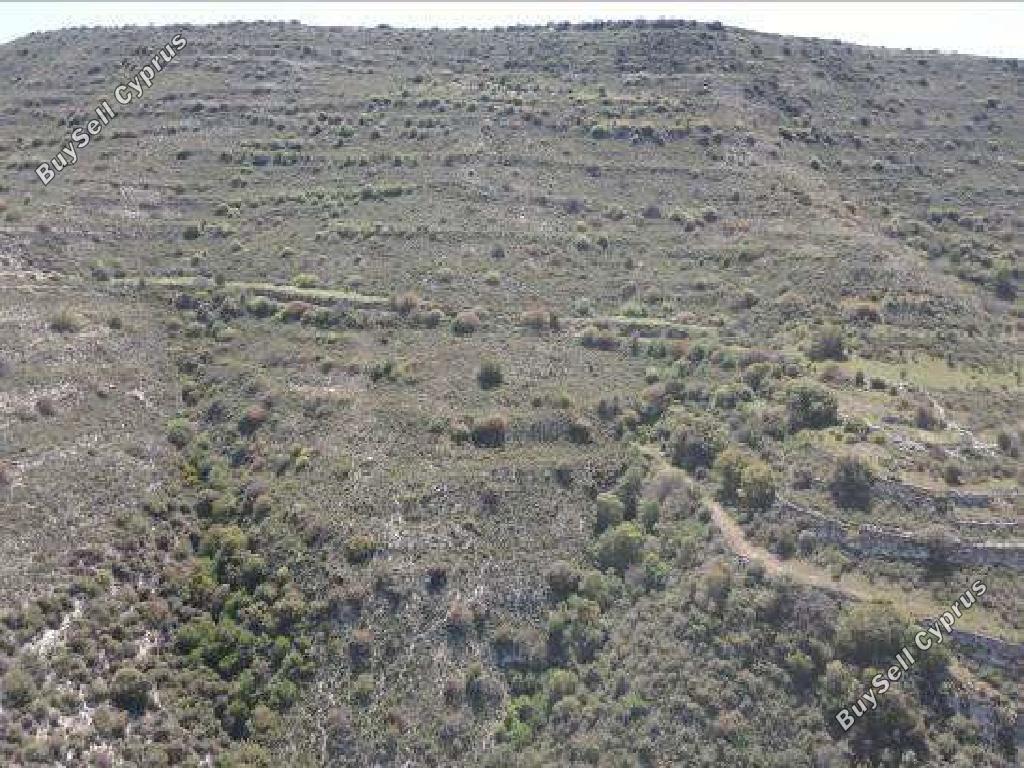 land for sale dora limassol 7806014 image 15596546