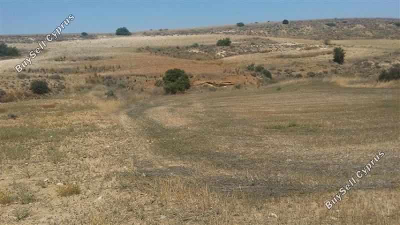 land for sale tseri nicosia 1062014 image 16185615