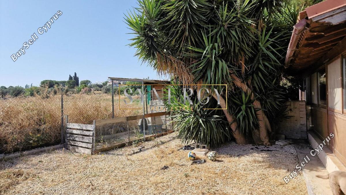 3 bedroom detached house for sale politiko nicosia 1541114 image 5259131