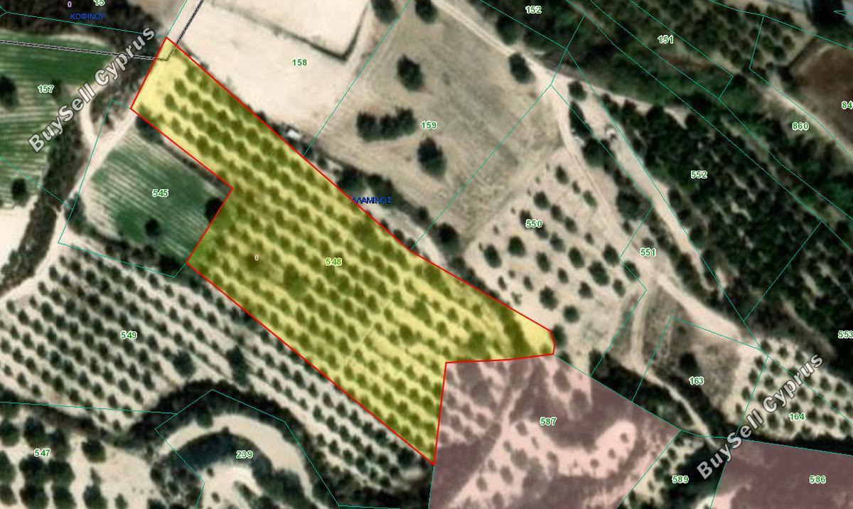land for sale alaminos larnaca 8001214 image 12732765