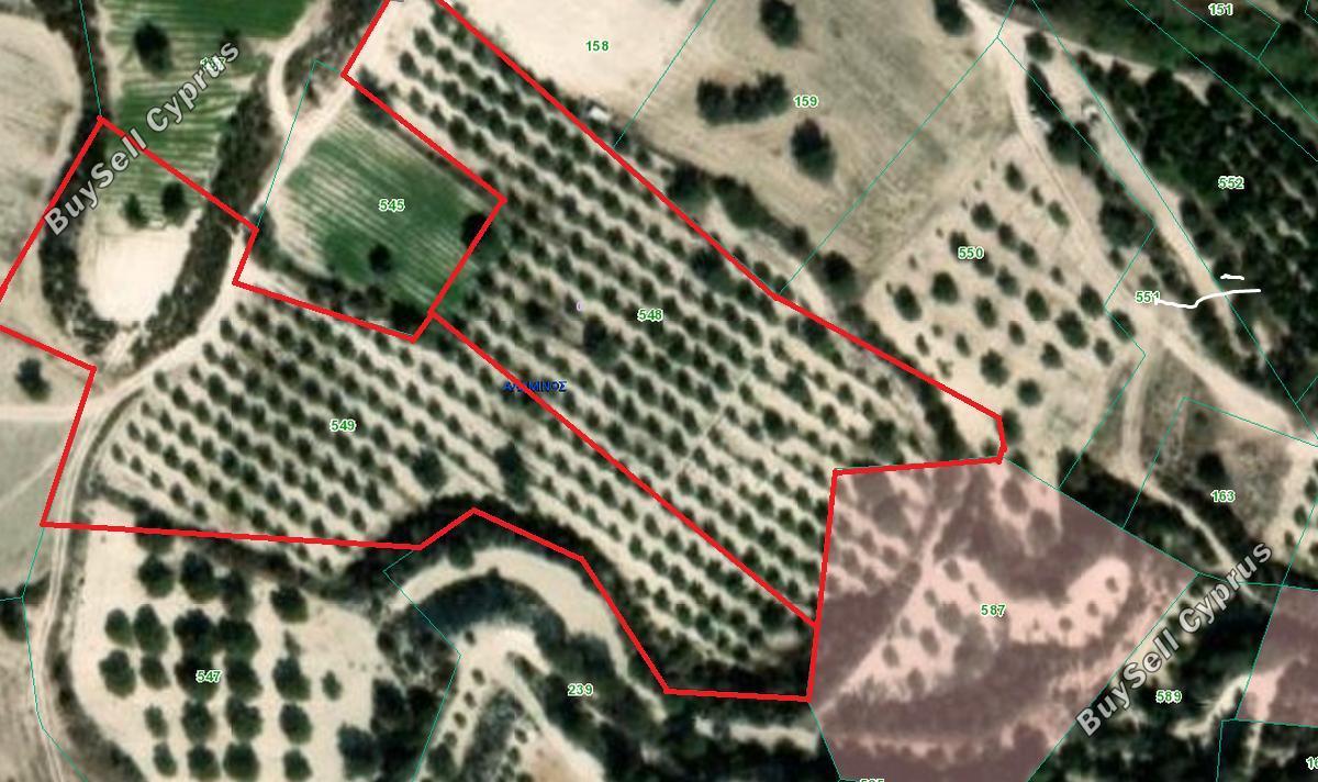 land for sale alaminos larnaca 8001214 image 12737421