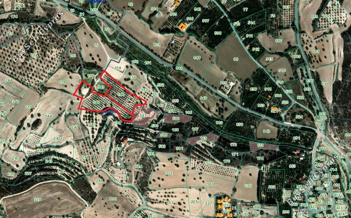 land for sale alaminos larnaca 8001214 image 12739095