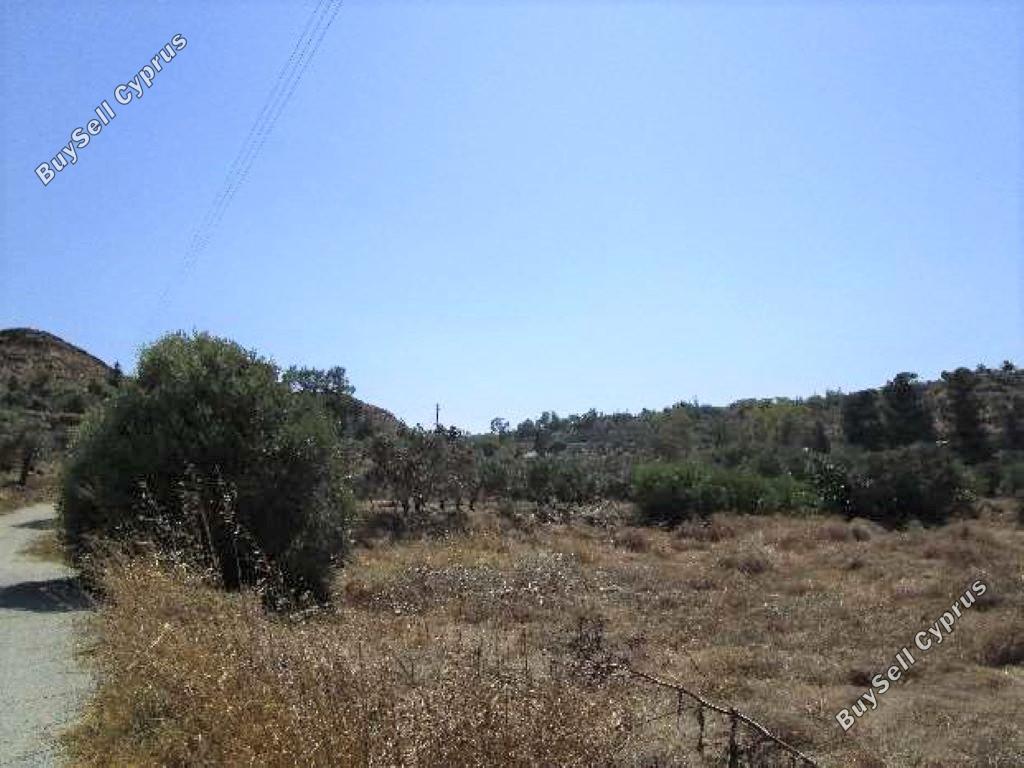 land for sale mammari nicosia 882214 image 16512478