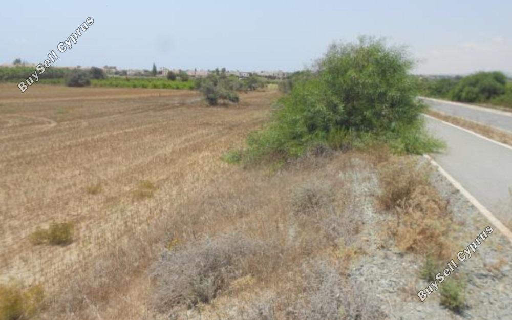 land for sale mazotos larnaca 831214 image 1313575