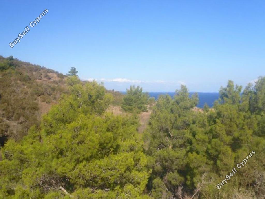 land for sale pigenia nicosia 8645214 image 15931538