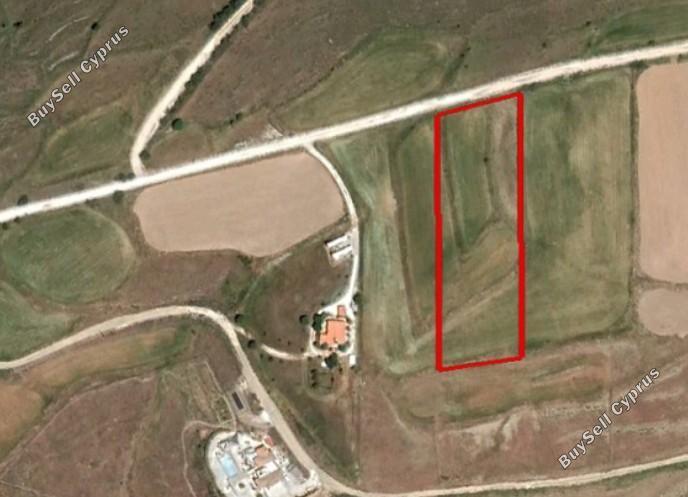 7000 SQM Land for sale in Pano Arodes, Paphos 14818342