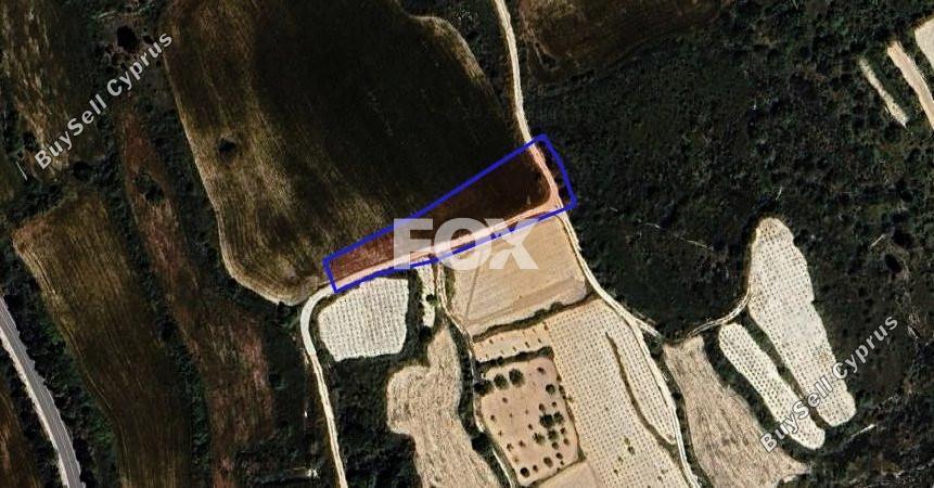 land for sale kathikas paphos 1301314 image 5588894