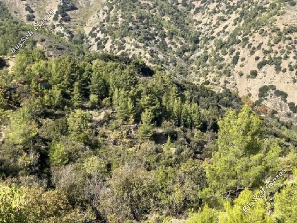 land for sale moutoullas nicosia 7980314 image 11622158