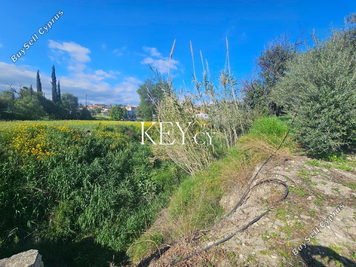 land for sale asgata limassol 8890414 image 17319704