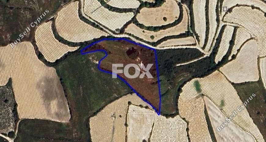 land for sale kathikas paphos 1270414 image 5572695
